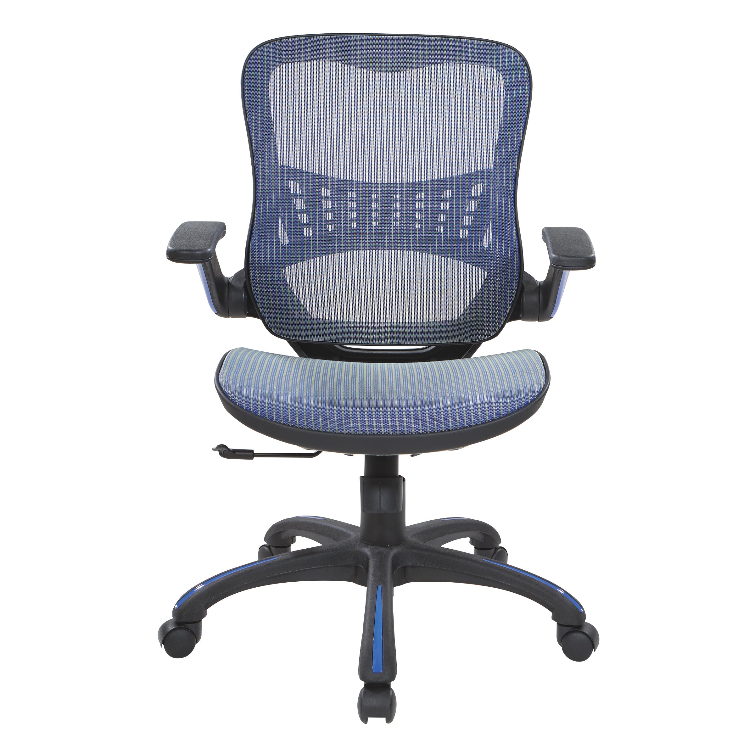 Mesh Seat and Back Manager’s Chair